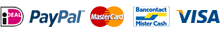 payment logo